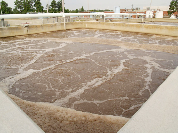 Bùn vi sinh xử lý nước thải